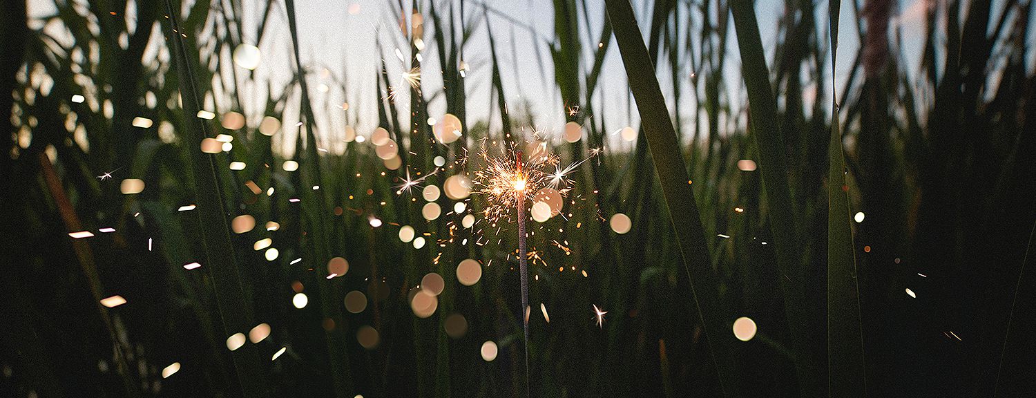 Light glare dots with tall grass in the back