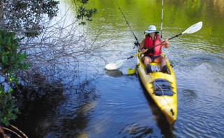man paddling kayak through everglades