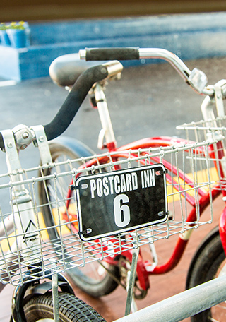 Discover the Action<br>in St. Pete