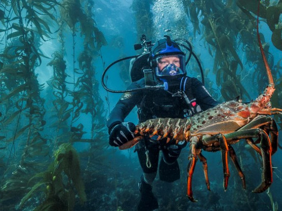 Make Your Way to the Islamorada for Mini Season
