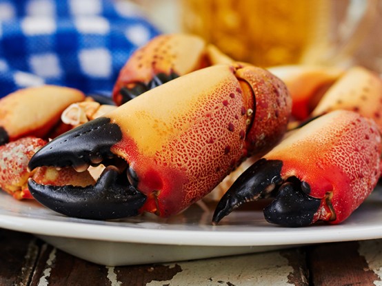 Cracking Claws on the Coast