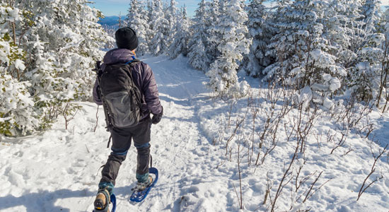 snowshoe