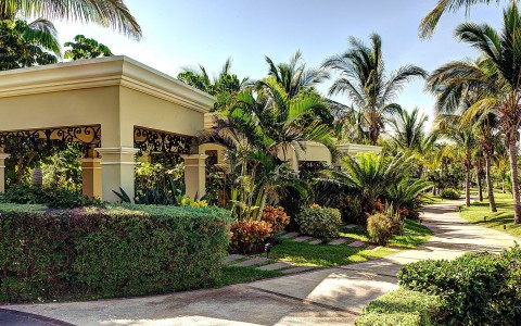 outside entrance with palm trees