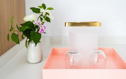 Closeup of a tray with some glasses and a colorful plant 
