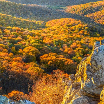 charlottesville mountains in the fall
