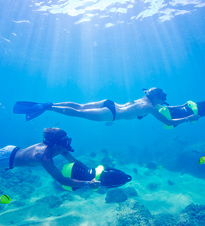 Diving and Snorkeling Image