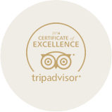 Trip Advisor Image