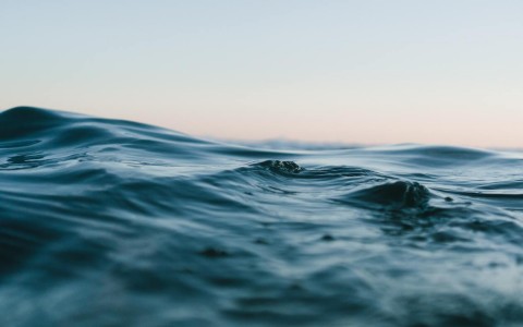 Quivira: A Role Model in Sustainable Water Use Blog Post