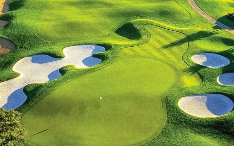 aerial view of green golf course