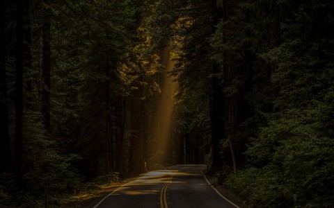 one ray of light hitting an empty dark road