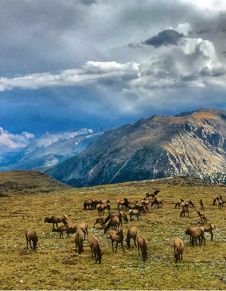 front range mountains clouds and elk