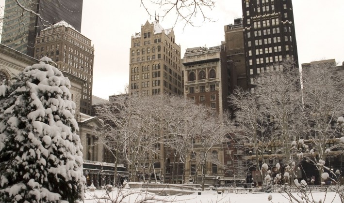 snow covered building and tree