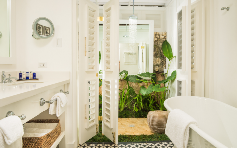tropical bathroom with door to outdoor shower