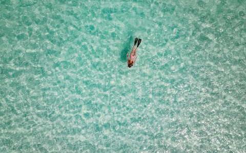 aerial shot of girl snorkeling in ocean
