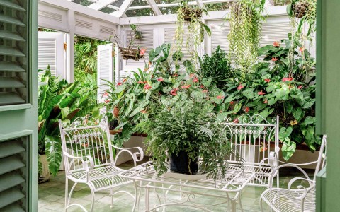 garden of a villa with plants all around a white metal table and chairs