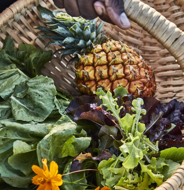 pineapple in a basket with greenery