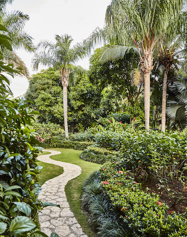 stone walkway with greenery surrrounding