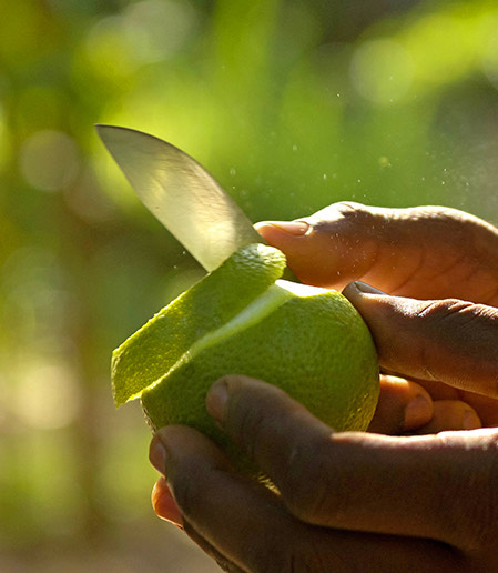 Closeup view of a person peeling a fruit