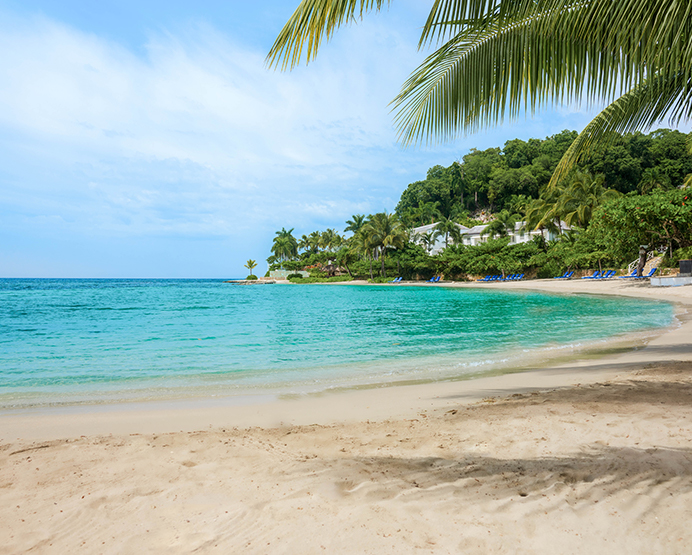 A beautiful beach surrounded by nature