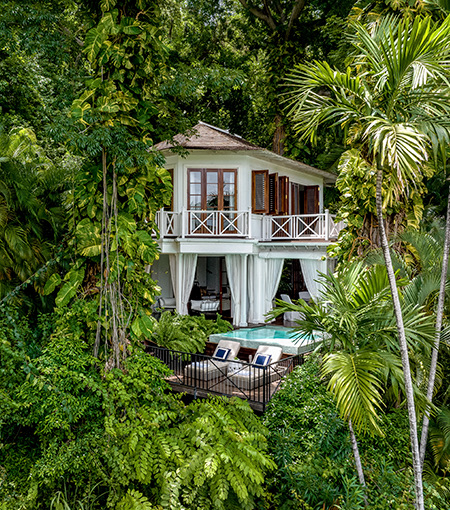 building peeking out of tropical forest