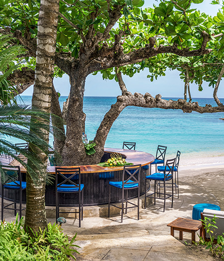 bar wrapped around a tree by the ocean