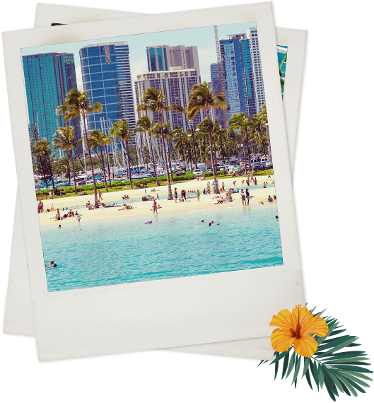 Polaroid of beach with palm trees and buildings in background