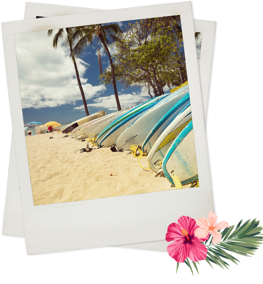 Polaroid of surfboards laying in sand near palm tress