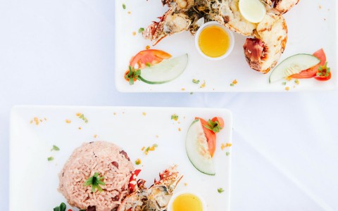 view from above of two elegant seafood dishes full of vibrant colors
