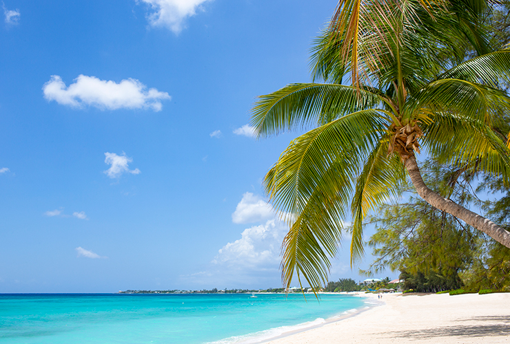white sand beaches along clear turquoise water and palm trees along the edge of the beach