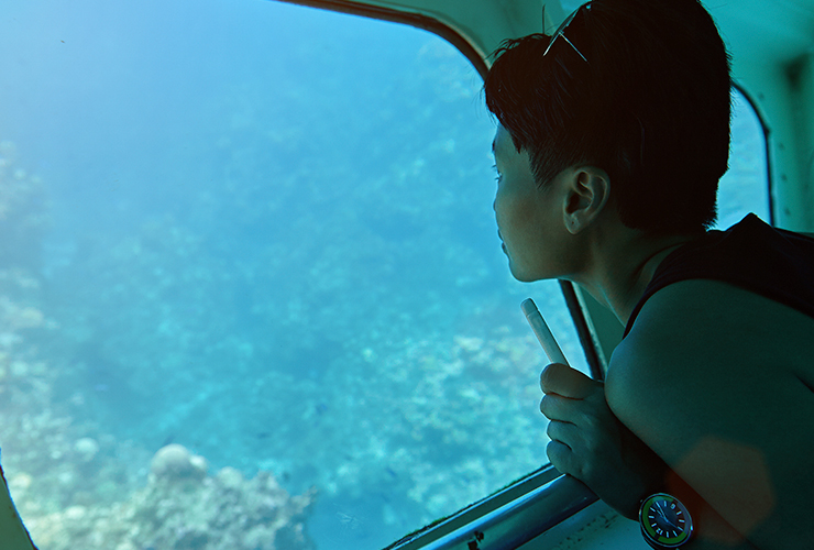 young boy looking out at sealife in clear blue waters in glass bottom boat