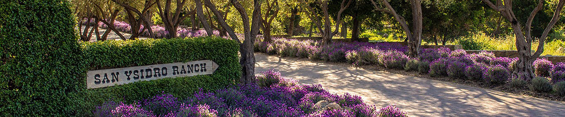 driving path into san ysidro ranch
