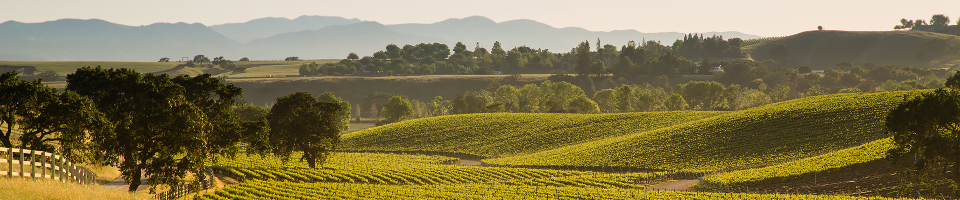sanysidro new header