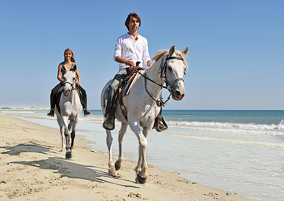 Ride a Horse on the Beach Inset