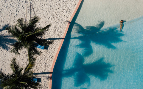 aerial view of a woman in a pool with two palm trees