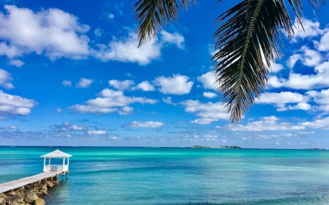 ocean view