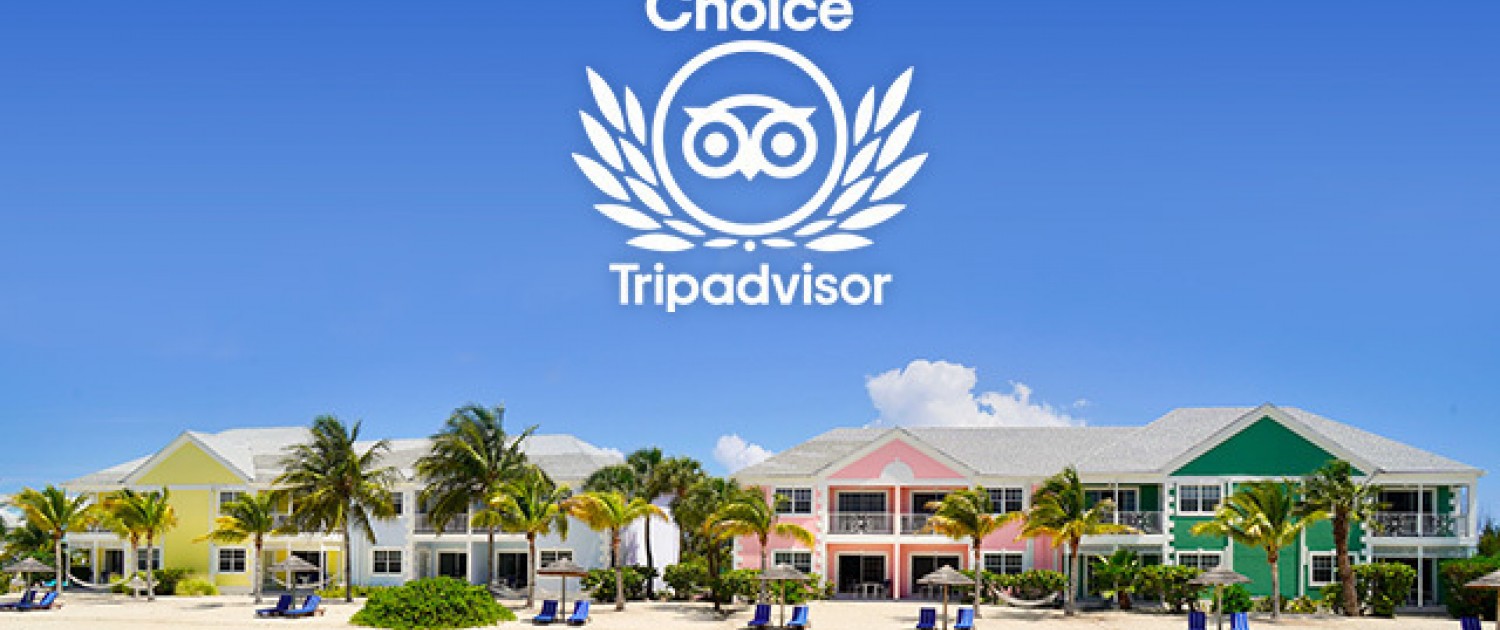Come Stay at TripAdvisor's #1 Hotel in Nassau!