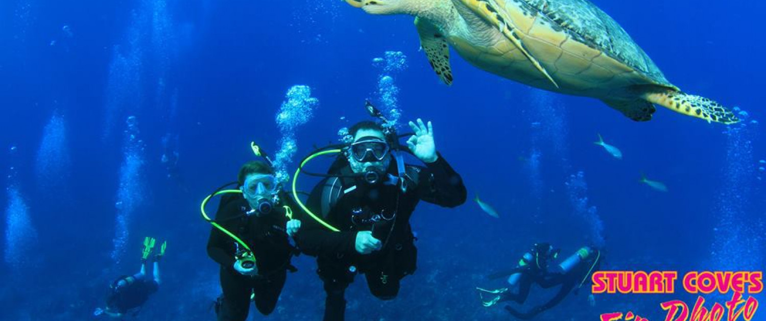 Swim with the Fish at Stuart Cove