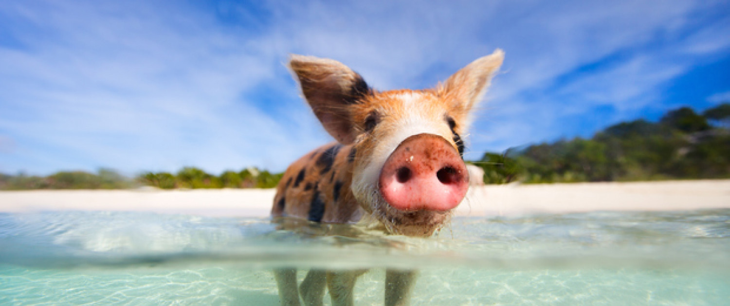 Check Out This Spring Break Sandy Bucket-List