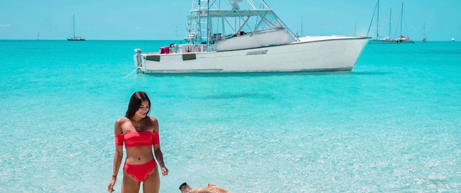Where to Spot Wildlife in the Bahamas