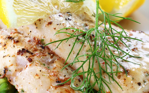 Close up of fish with lemon slices