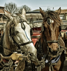 The Plaza: A Place Where Traders and Trails Met