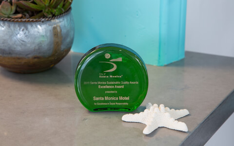 Green colored award on a desk next to a starfish