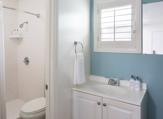 Guest bathroom with white features and blue wall