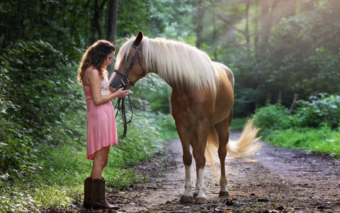 beautiful daylight equestrian