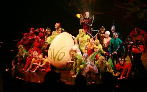 ovo performers in costumes on stage