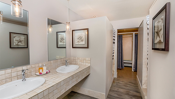 Internal view of a fancy room with two washbasins