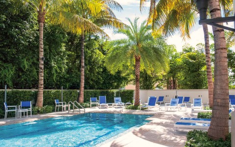 Swimming pool with palm trees and blue sunbathing chairs