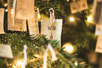 wishtree_web