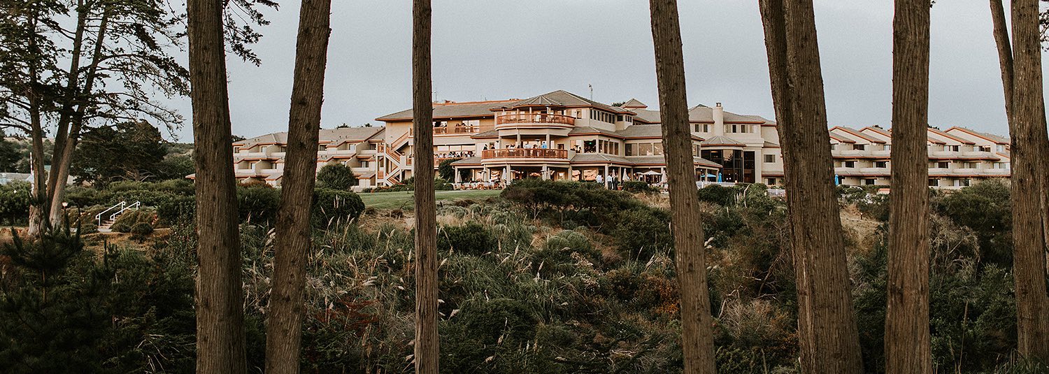 View of property from in between the trees