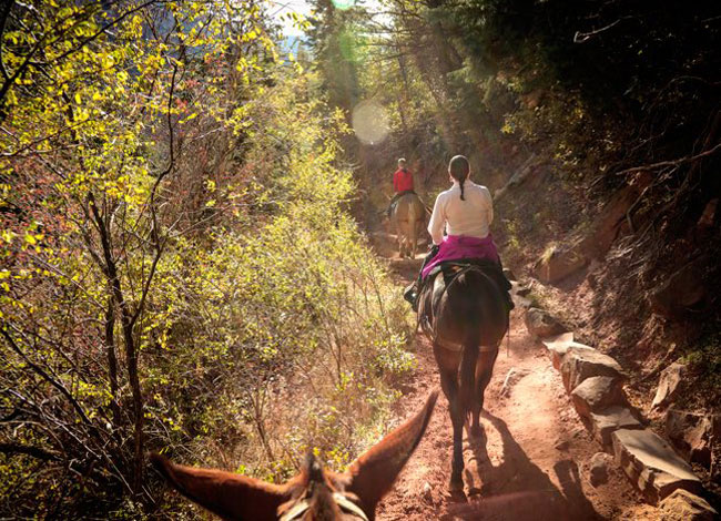 horse back riding summer getaway things to do